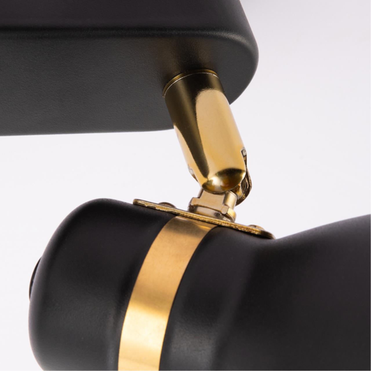 Картинка Потолочный светильник Arte Lamp FAFNIR A5047PL-2BK