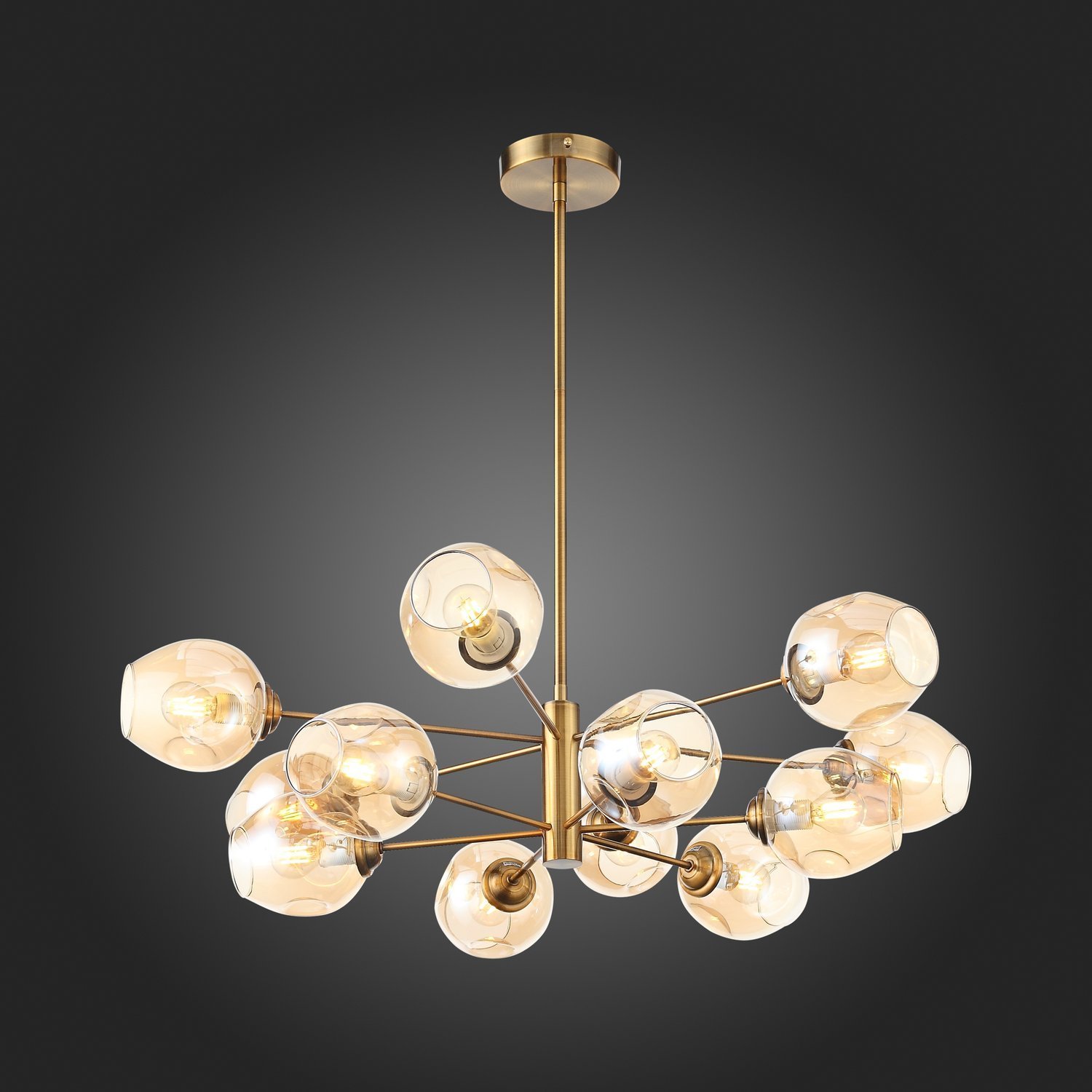 Картинка Подвесная люстра ST Luce Fovia SL1500.203.12