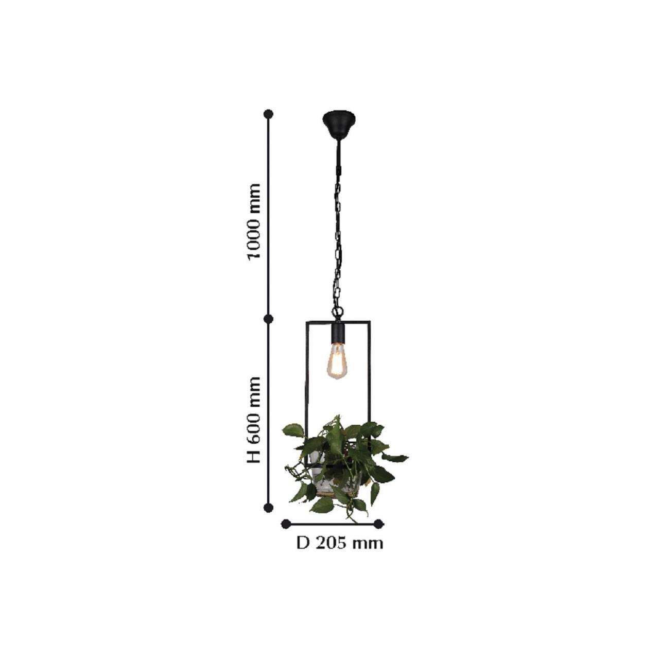 Картинка Подвесной светильник Favourite Situla 1975-1P