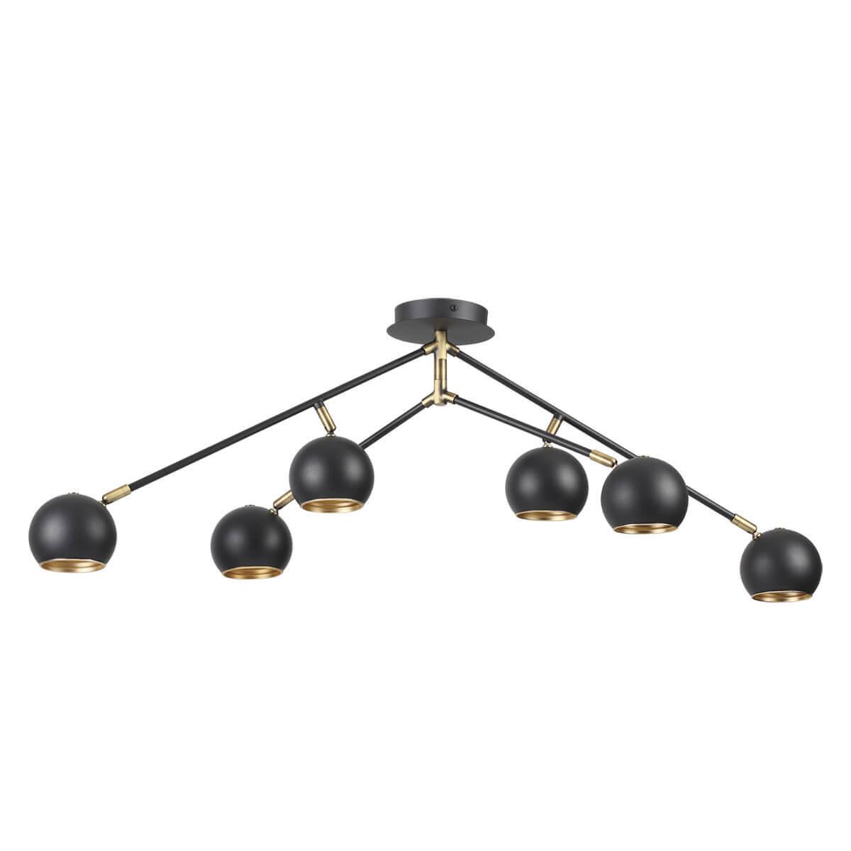 Картинка Потолочная люстра Lumion Neruni 3635/6C