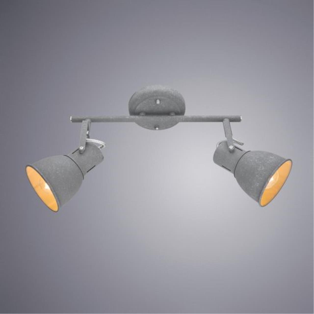Картинка Спот Arte Lamp A1677PL-2GY
