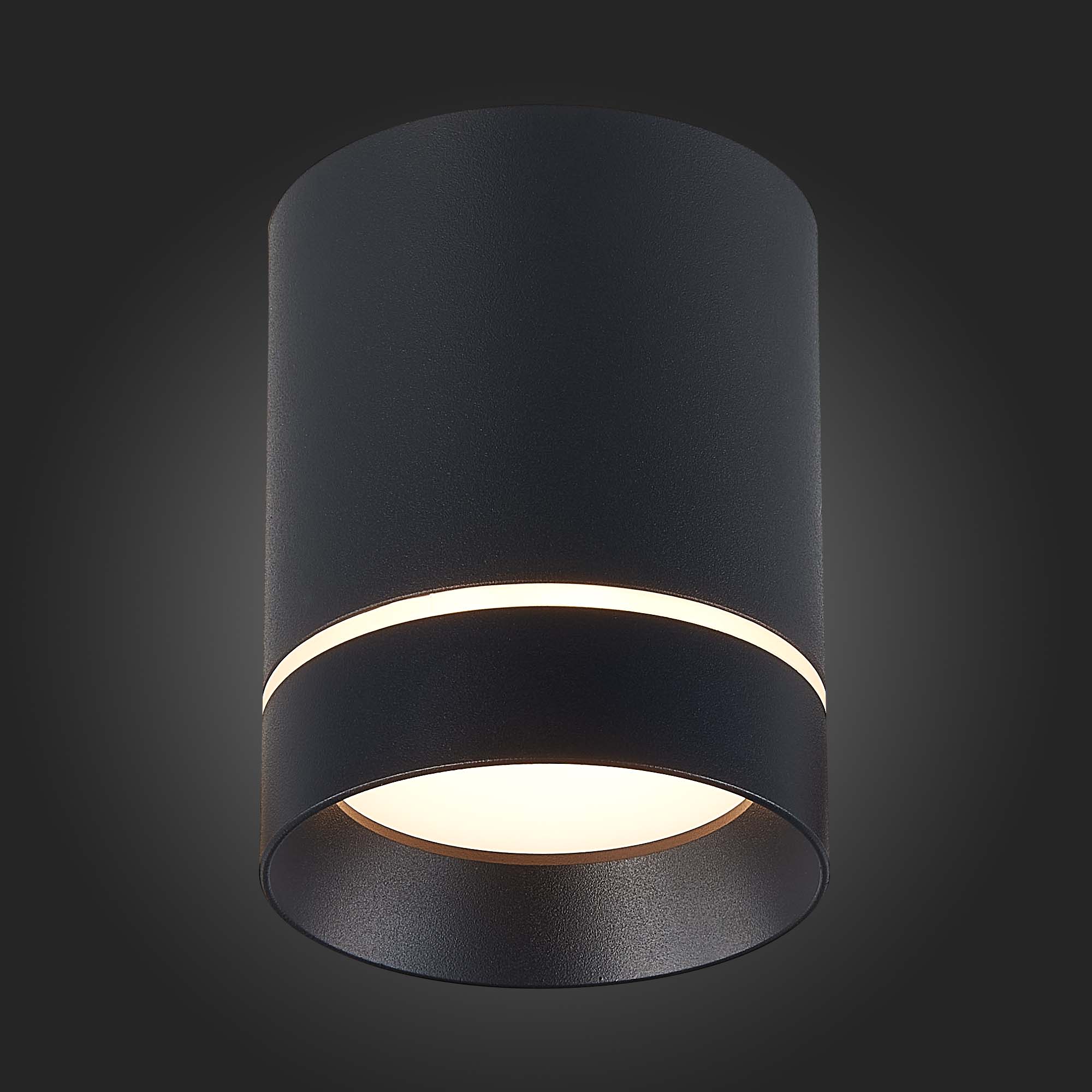 Картинка Потолочный светодиодный светильник ST Luce ST115.432.12