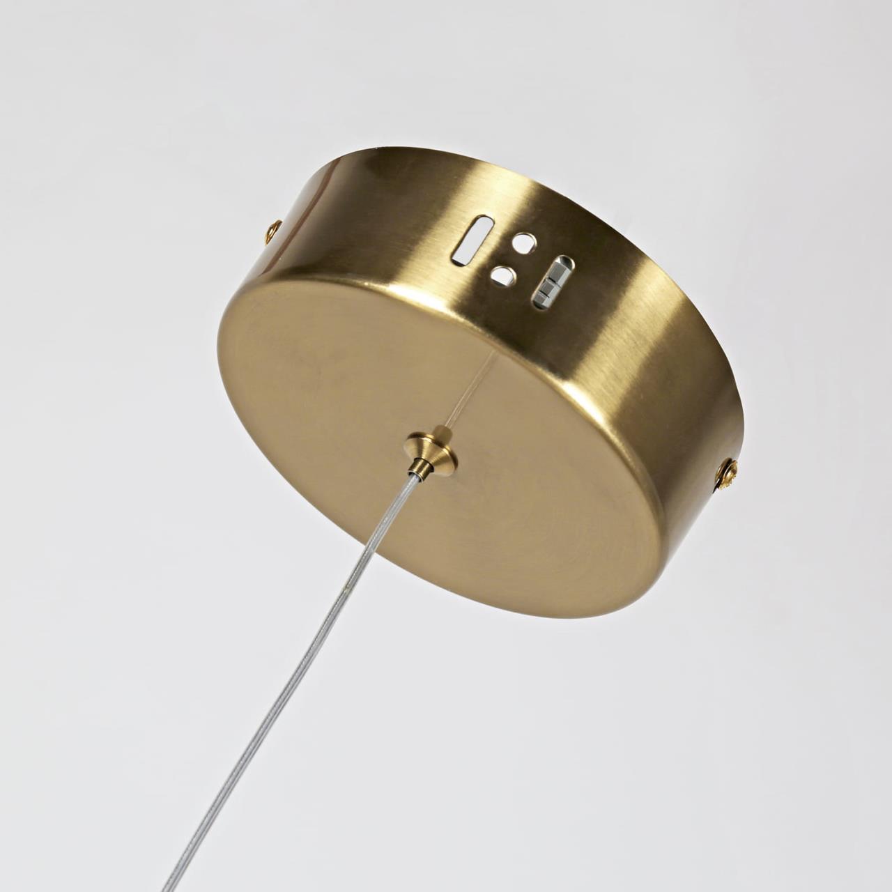 Картинка Подвесной светодиодный светильник Favourite Conceptus 2642-1P