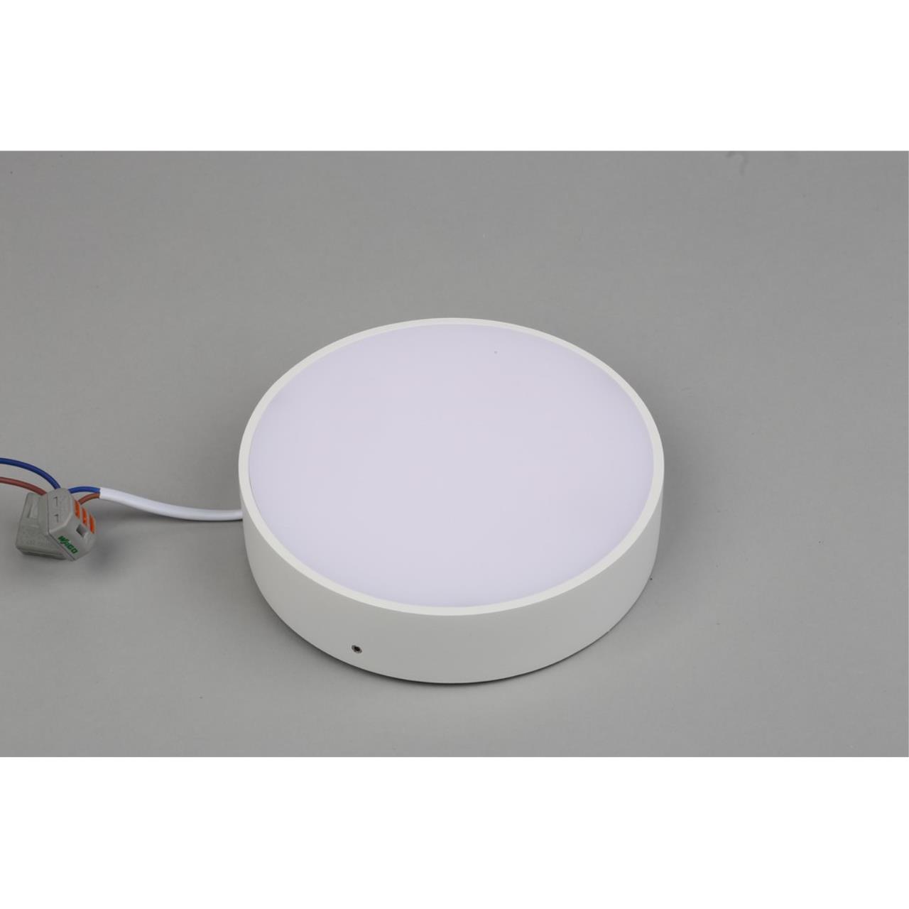 Картинка Потолочный светодиодный светильник Aployt Evon APL.0114.09.18