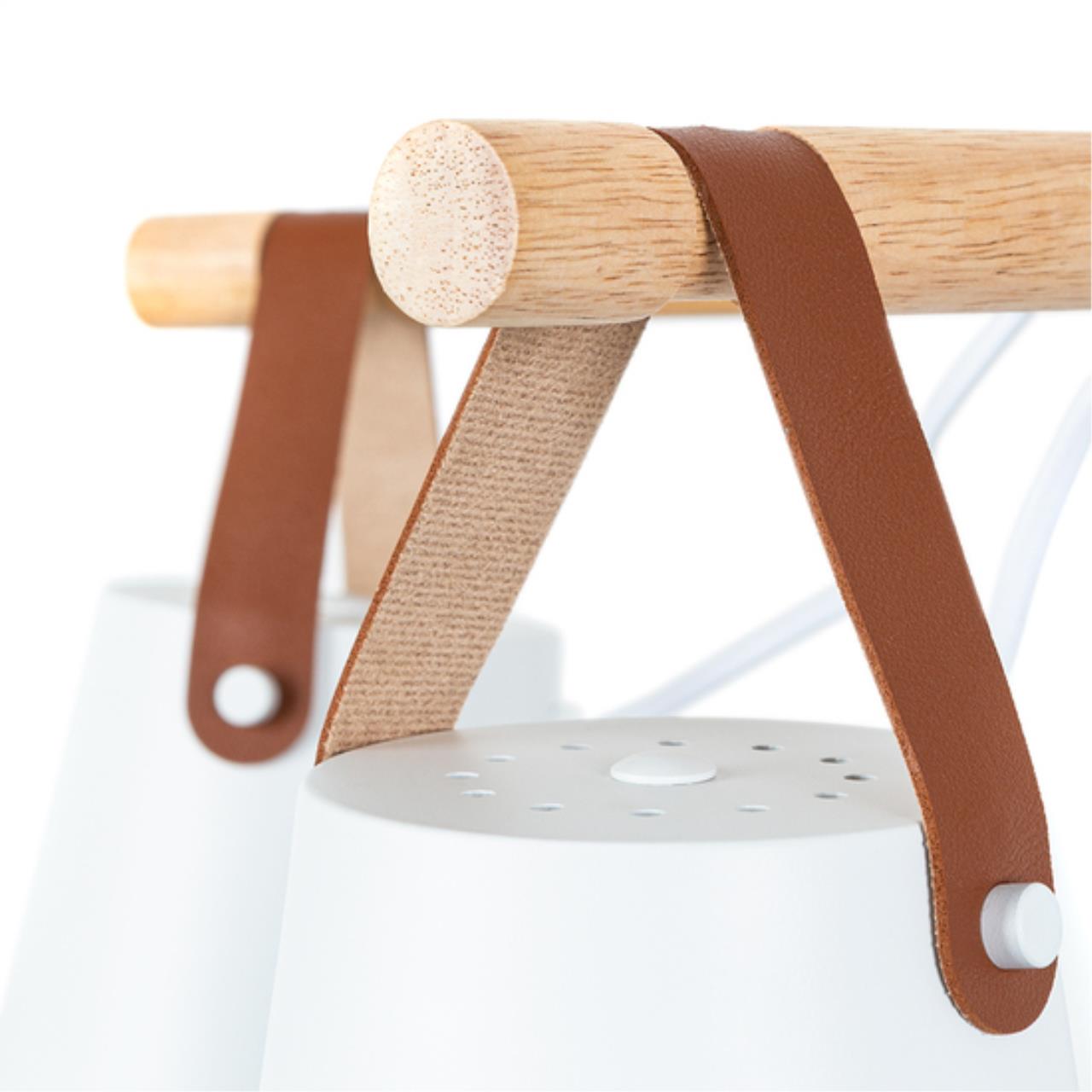 Картинка Потолочный светильник Arte Lamp THOMAS A7032PL-5WH