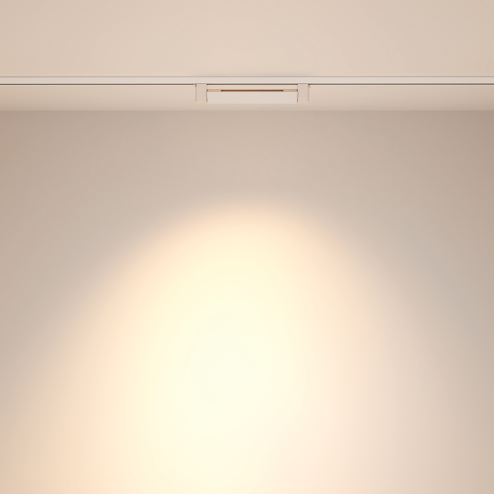 Картинка Трековый светильник Technical TR010-1-10W4K-M-W