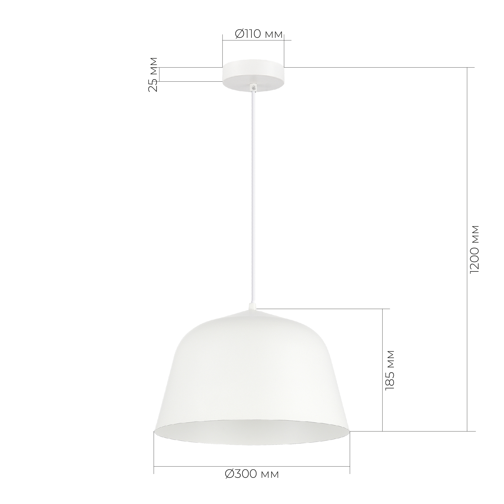 Картинка Evoluce SLE1805-503-01 Светильник подвесной Blank