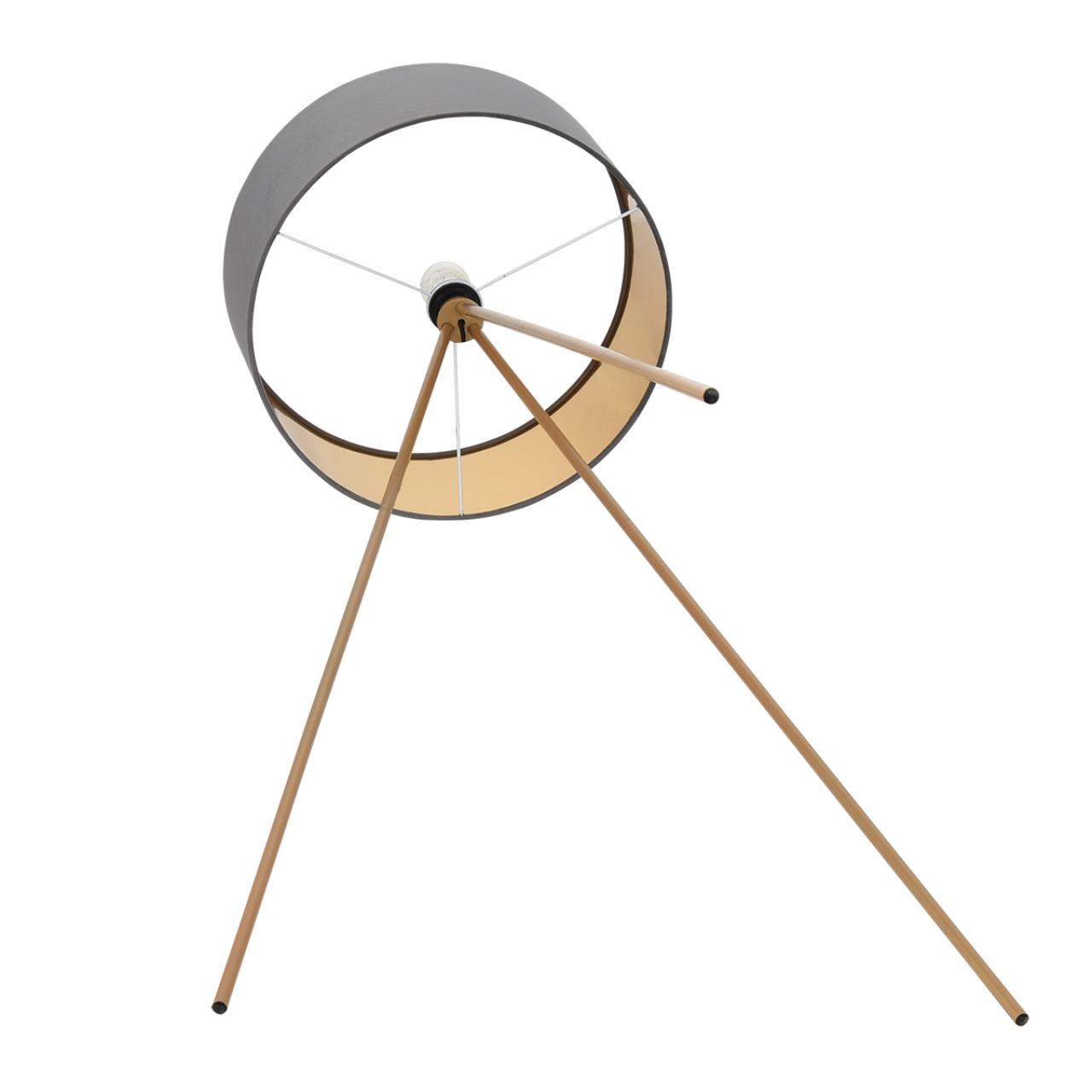 Картинка 8075/1F Lumion Торшер AVIOLA