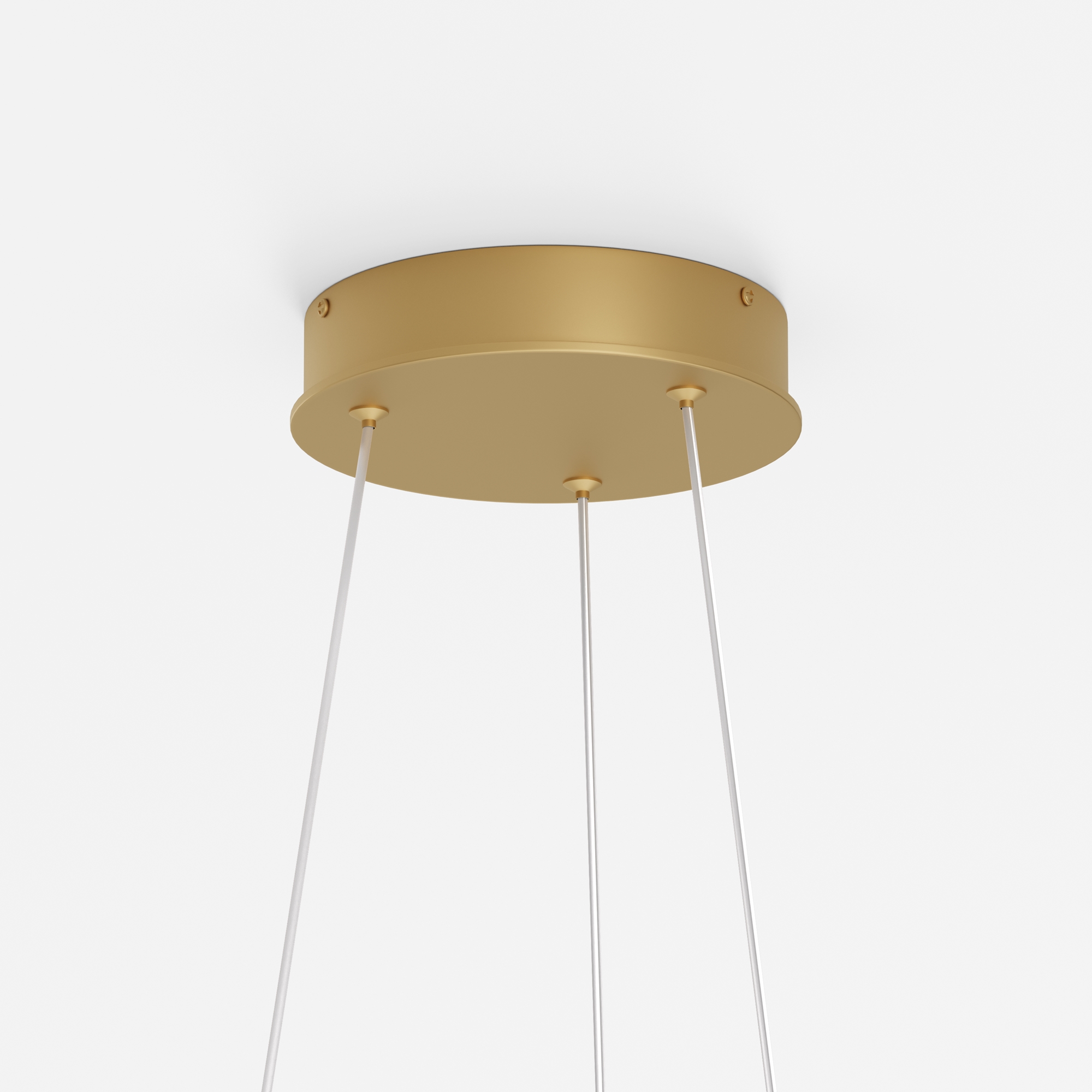 Картинка Подвесной светильник Maytoni MOD058PL-L22BSK