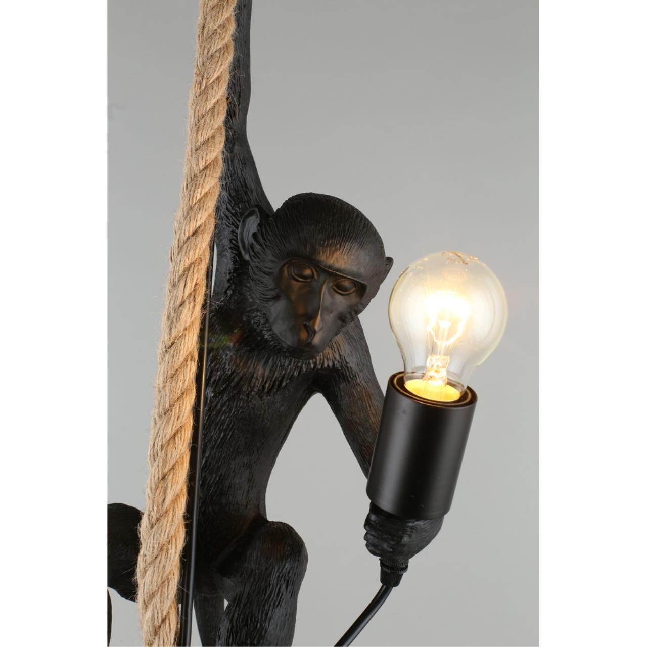 Картинка Подвесной светильник Aployt Magali APL.309.16.01