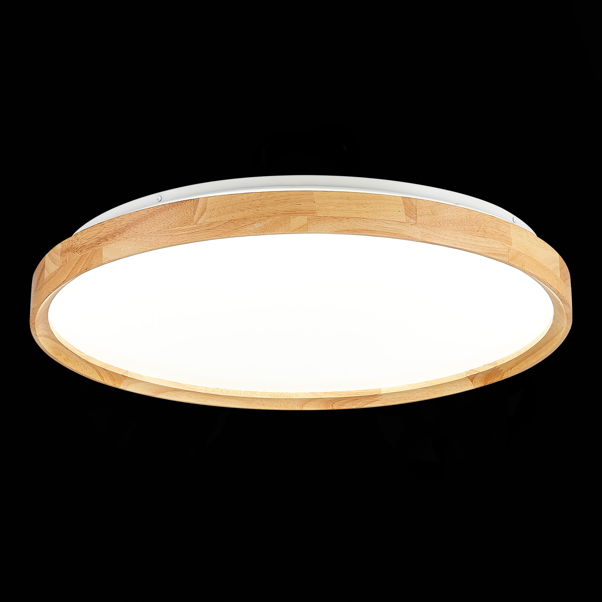 Картинка Потолочный сетодиодный светильник Evoluce Delia SLE201382-01