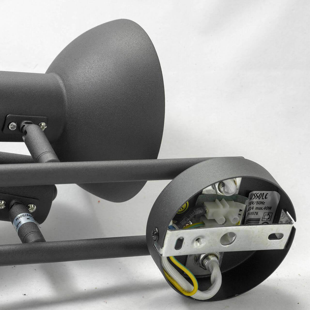 Картинка Спот Lussole Loft LSP-9976