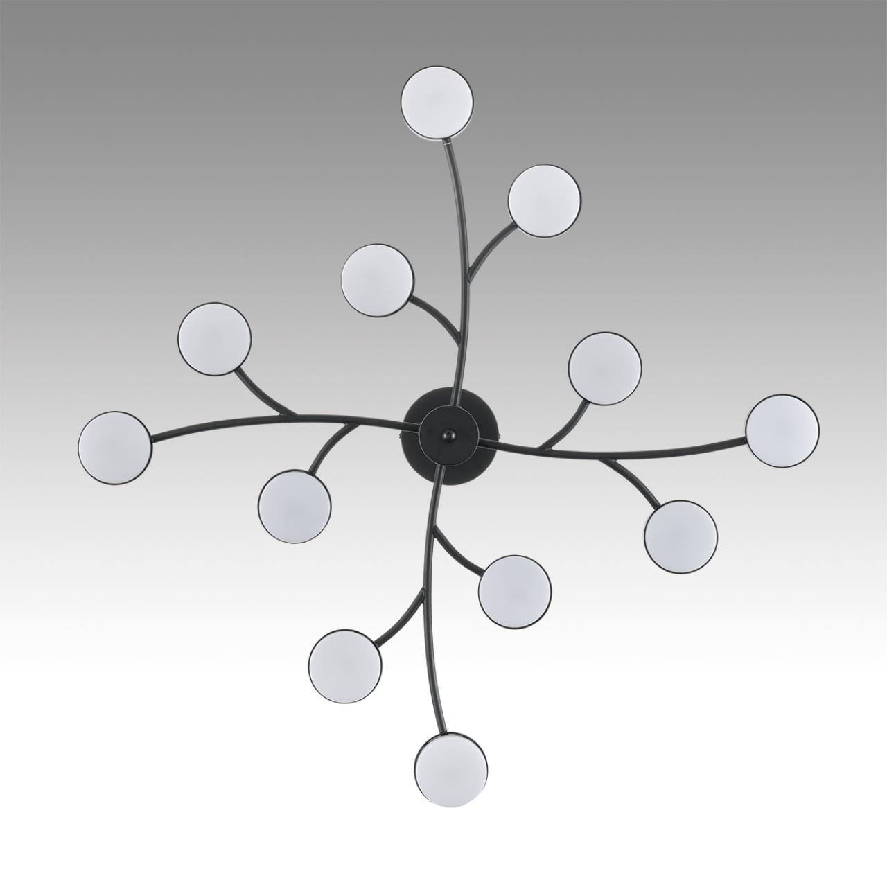 Картинка 8117/12 Lumion Люстра TORINA