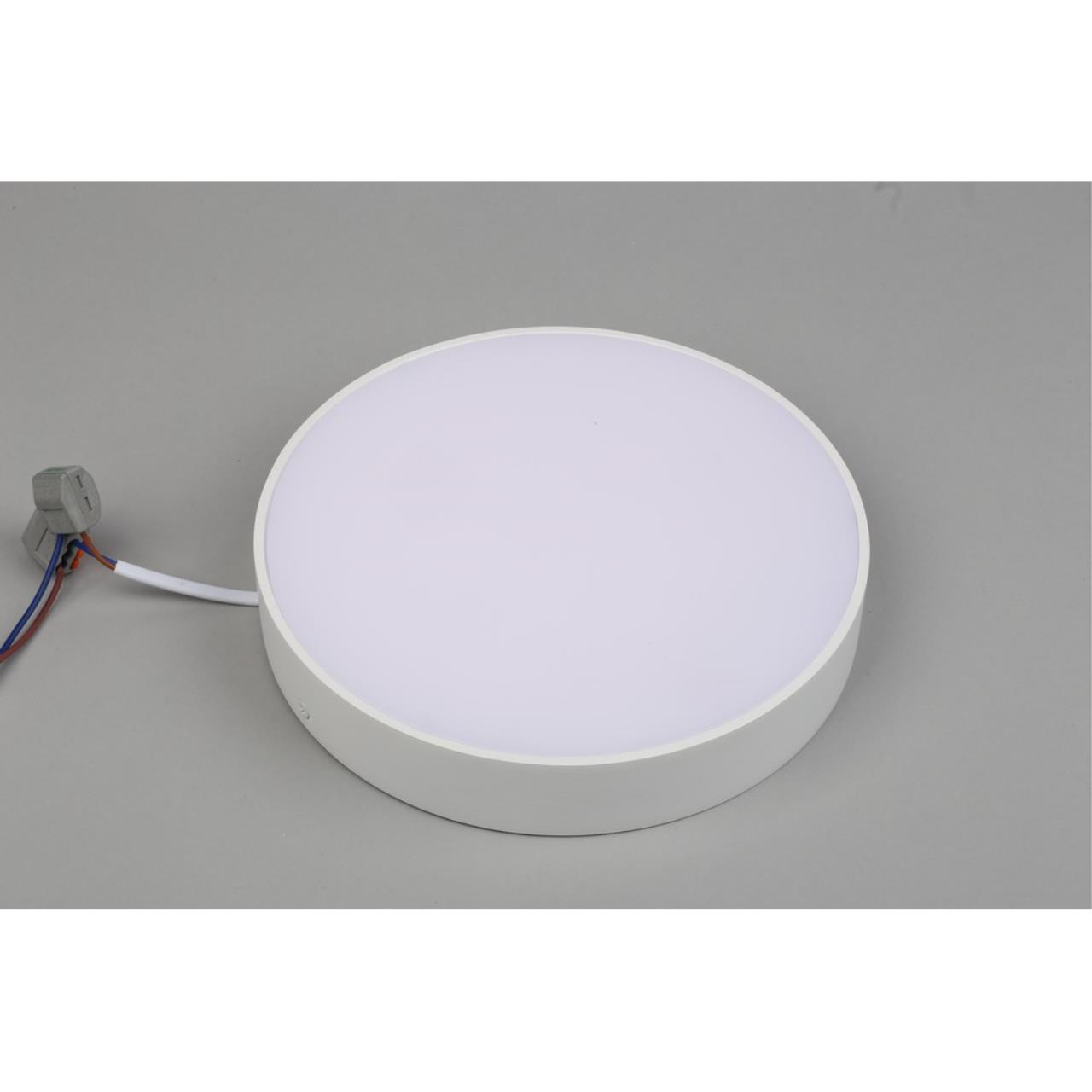 Картинка Потолочный светодиодный светильник Aployt Evon APL.0113.09.24