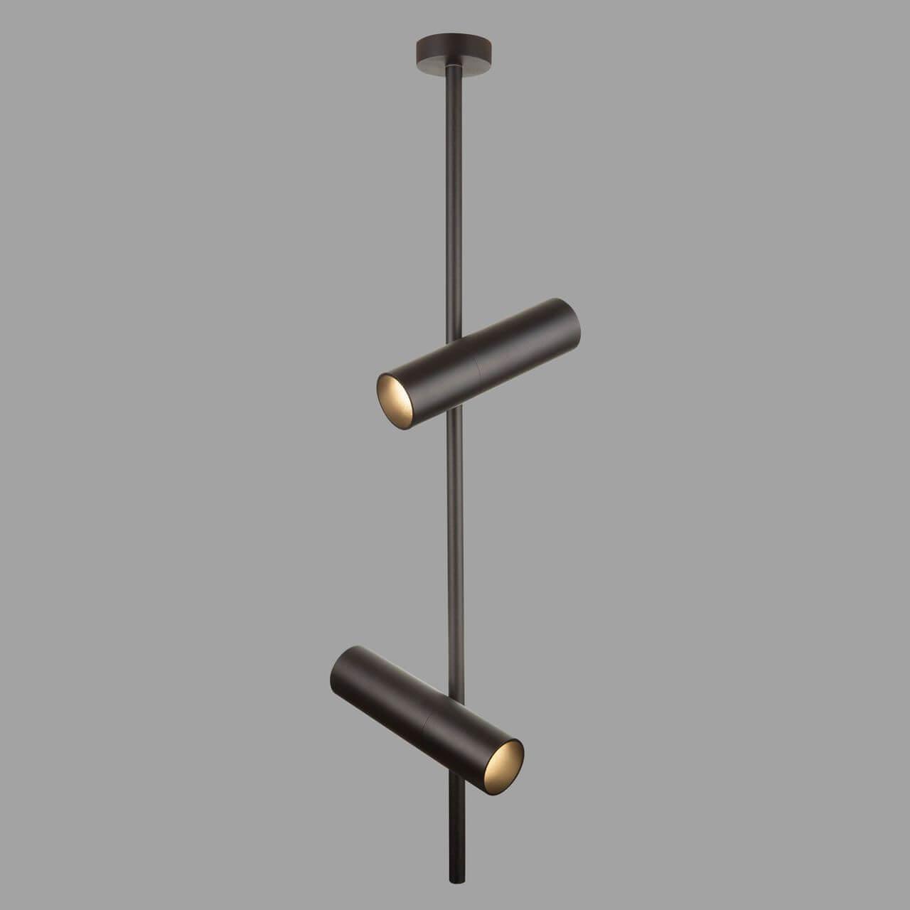 Картинка Подвесной светильник Maytoni Elti C021CL-02B