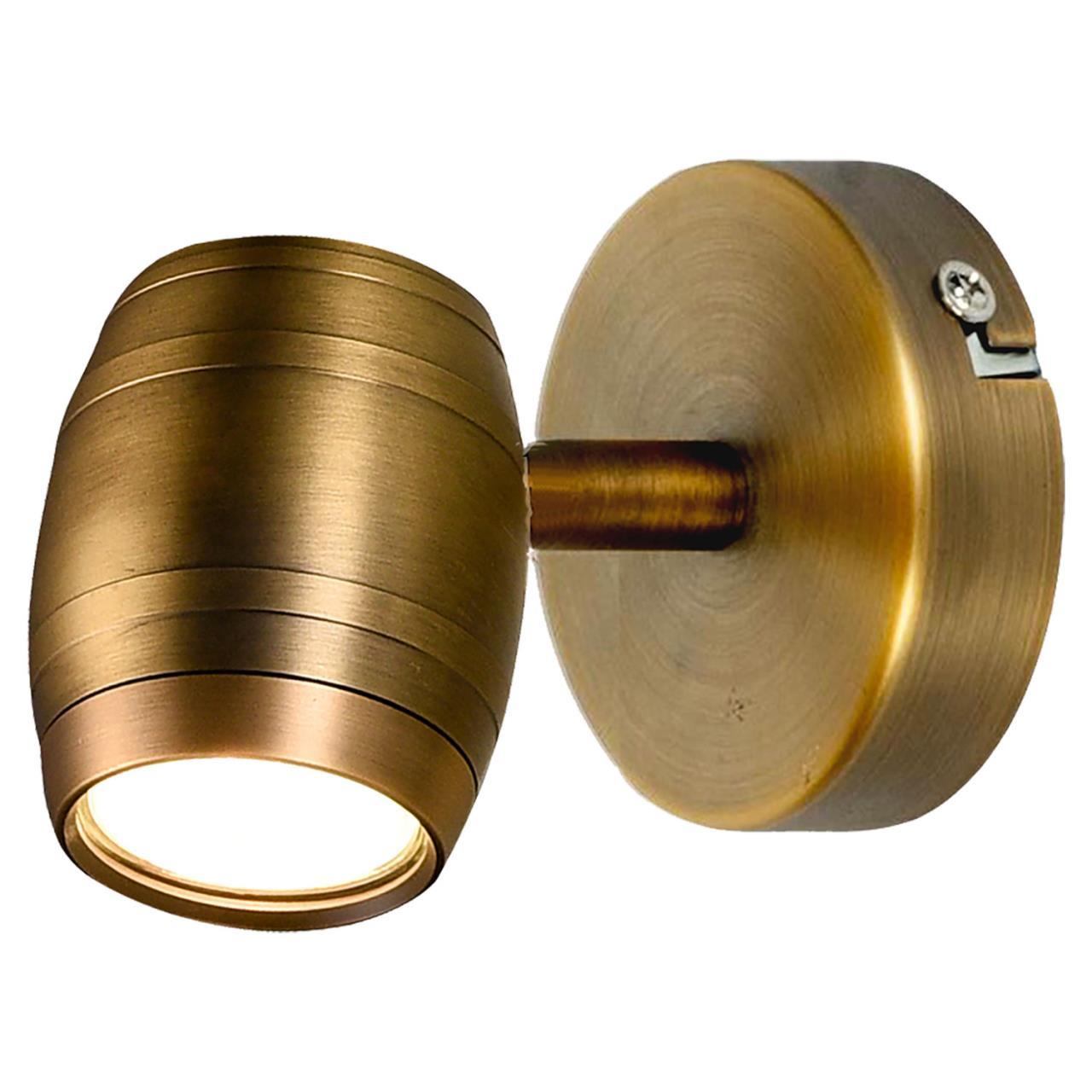 Картинка Спот Lussole Tuscaloosa GRLSP-9566