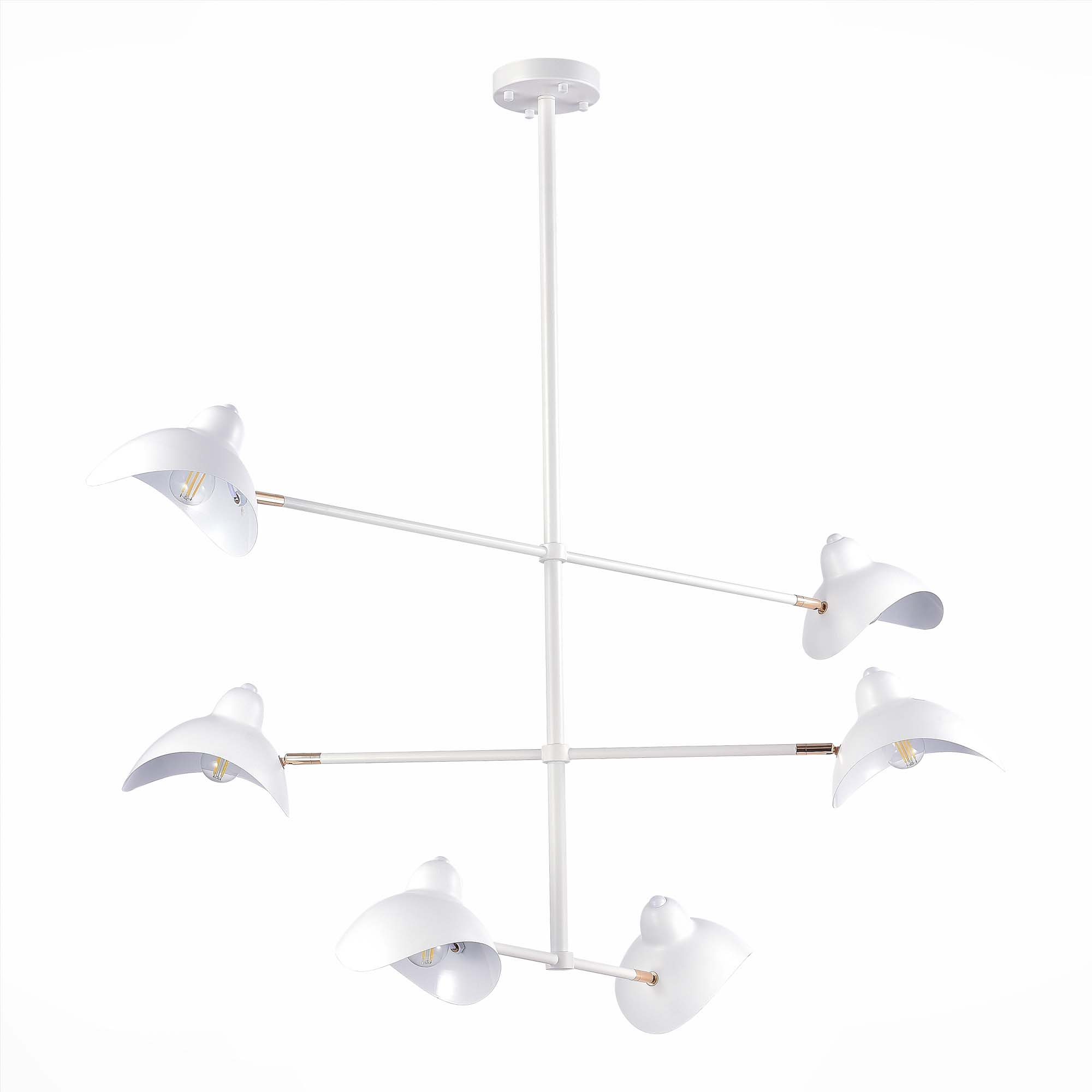 Картинка Подвесная люстра ST Luce Minne SL1801.503.06