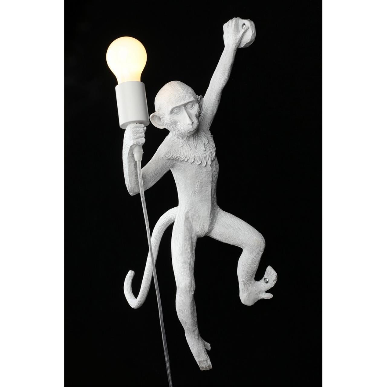 Картинка APL.309.01.01 Бра настенное Aployt Magali