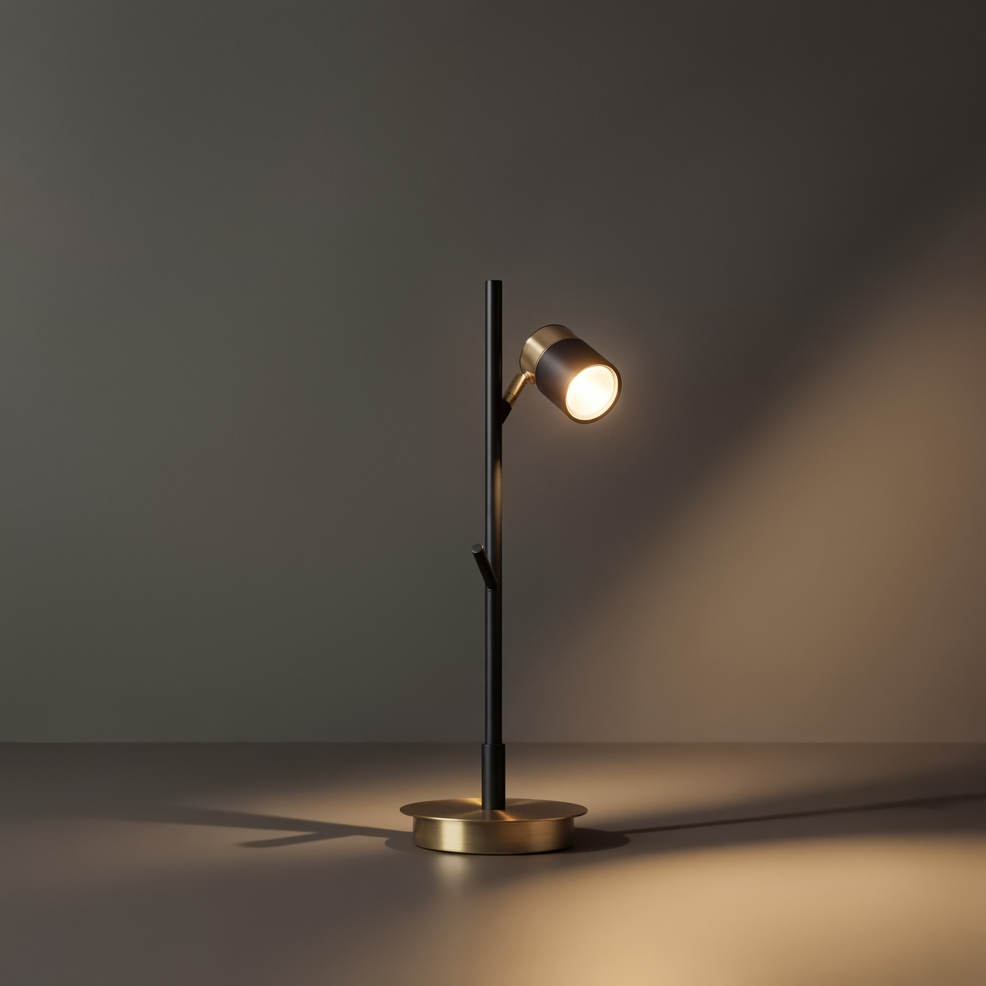 Картинка Настольный светильник Freya FR5201TL-01B