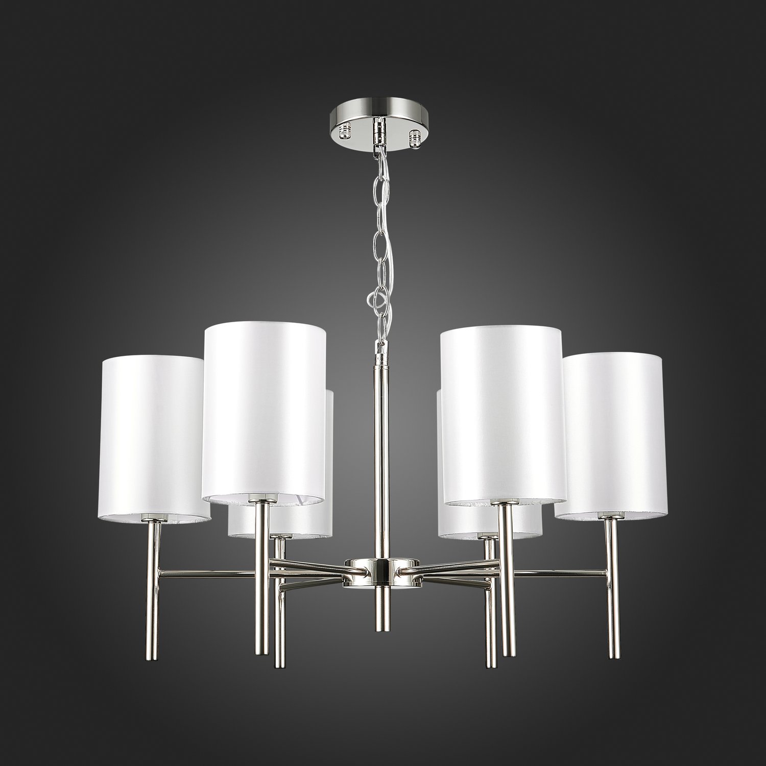 Картинка Подвесная люстра Evoluce Noia SLE107303-06