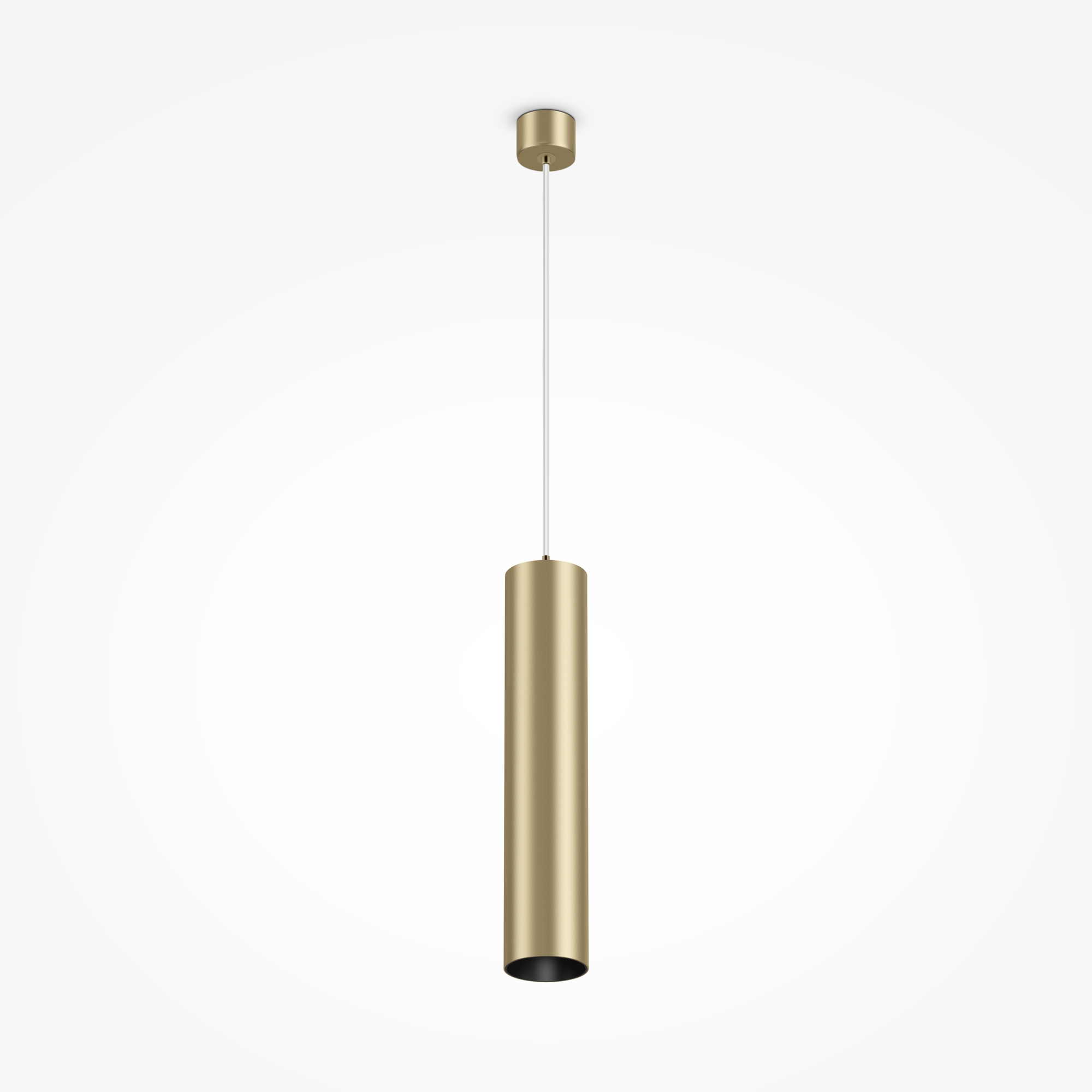 Картинка Подвесной светильник Technical P075PL-01MG