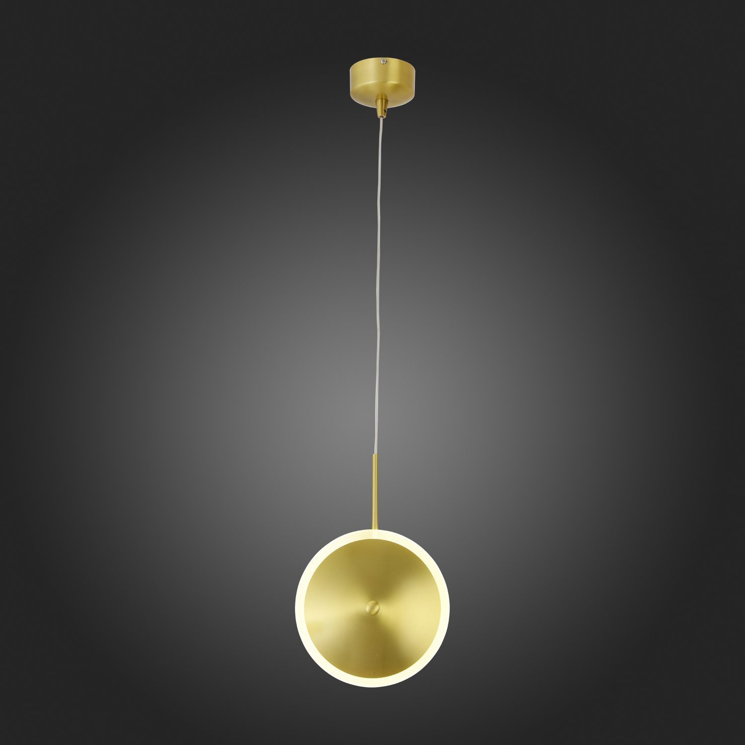 Картинка Подвесной светодиодный светильник ST Luce Imente SL1221.203.01