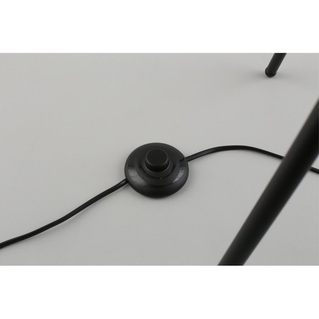 Картинка APL.348.05.03 Торшер Aployt Maja