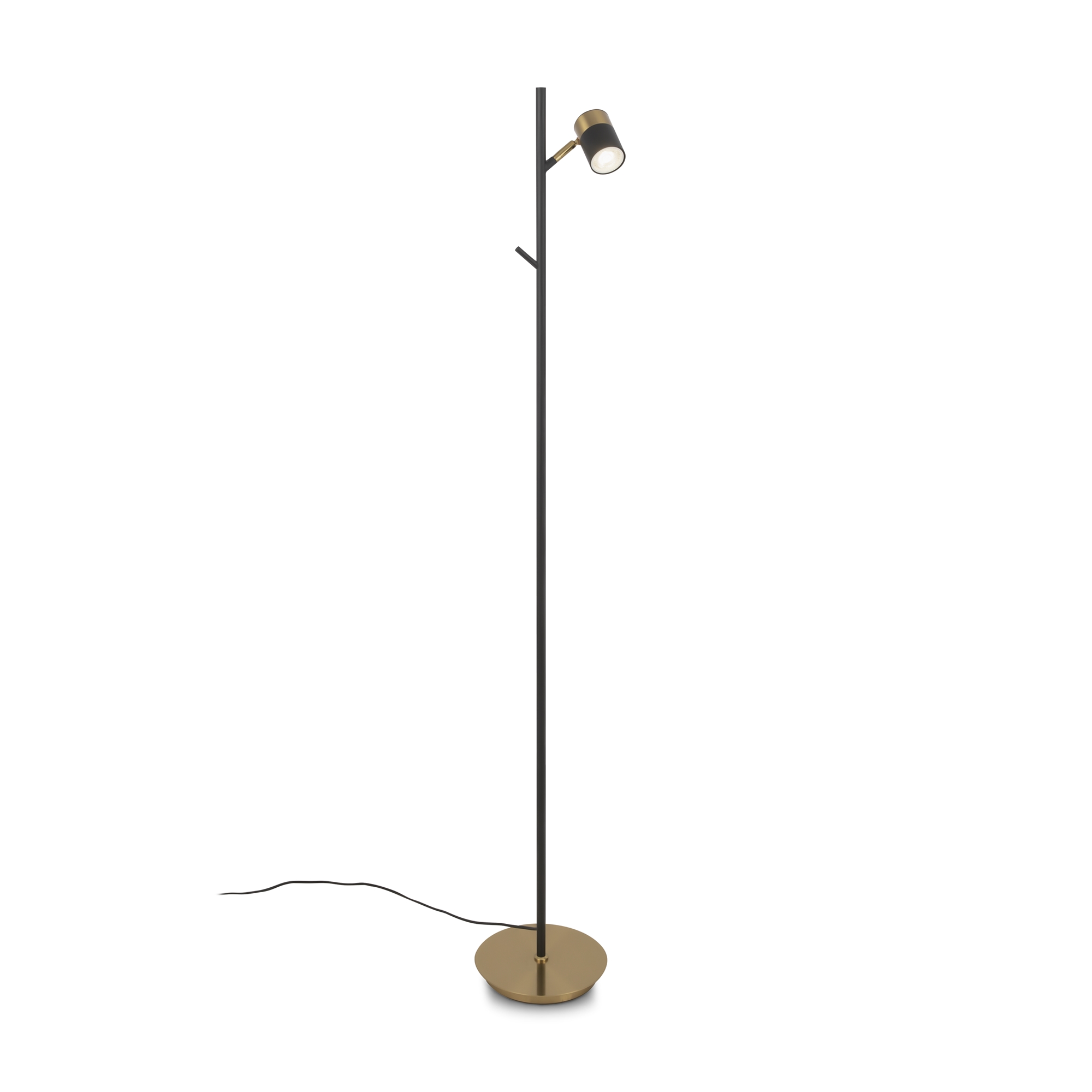 Картинка Напольный светильник (торшер) Freya FR5201FL-01B