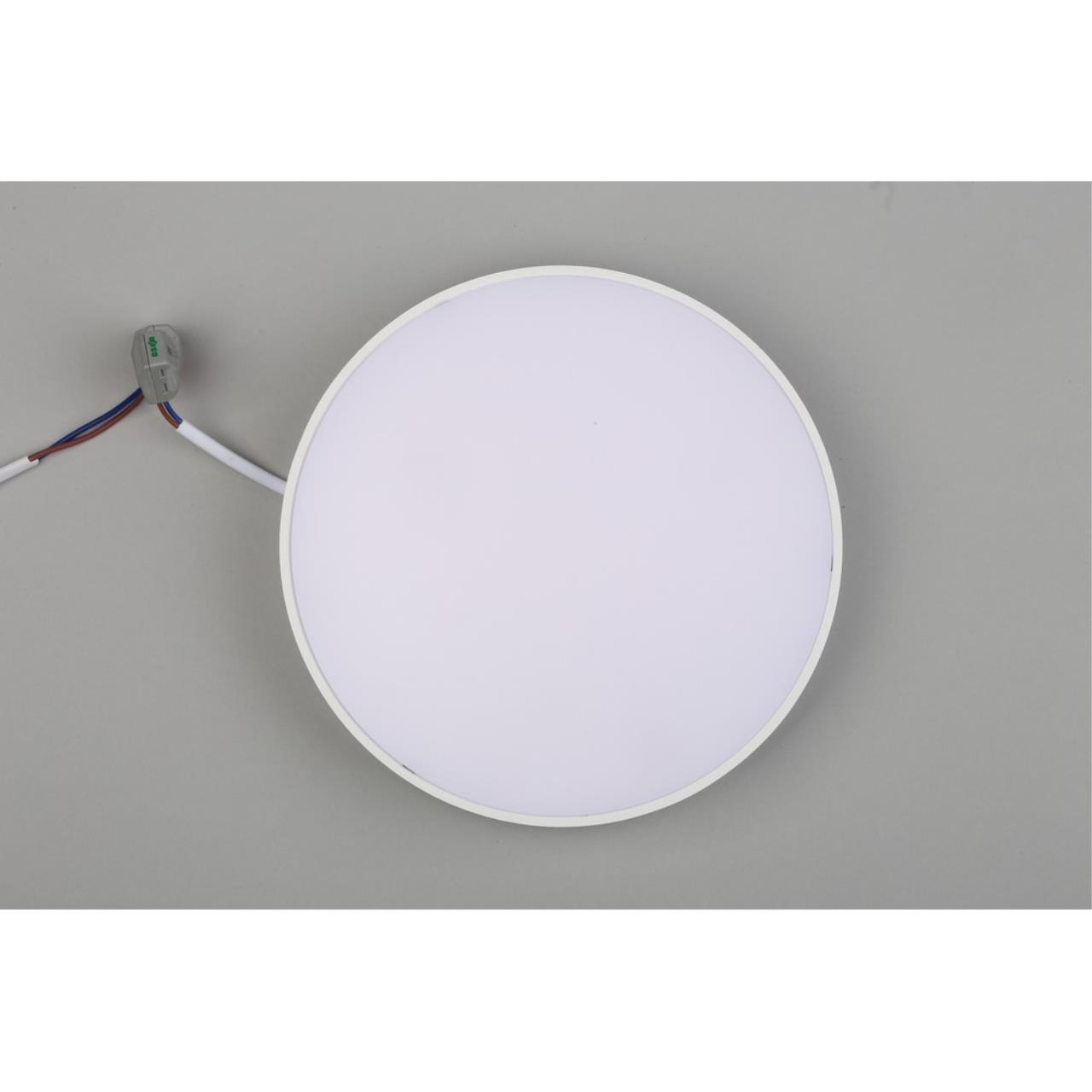 Картинка Потолочный светодиодный светильник Aployt Evon APL.0113.09.24