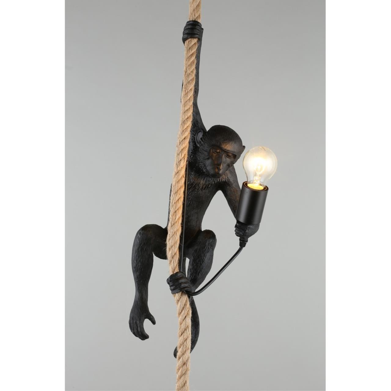 Картинка Подвесной светильник Aployt Magali APL.309.16.01