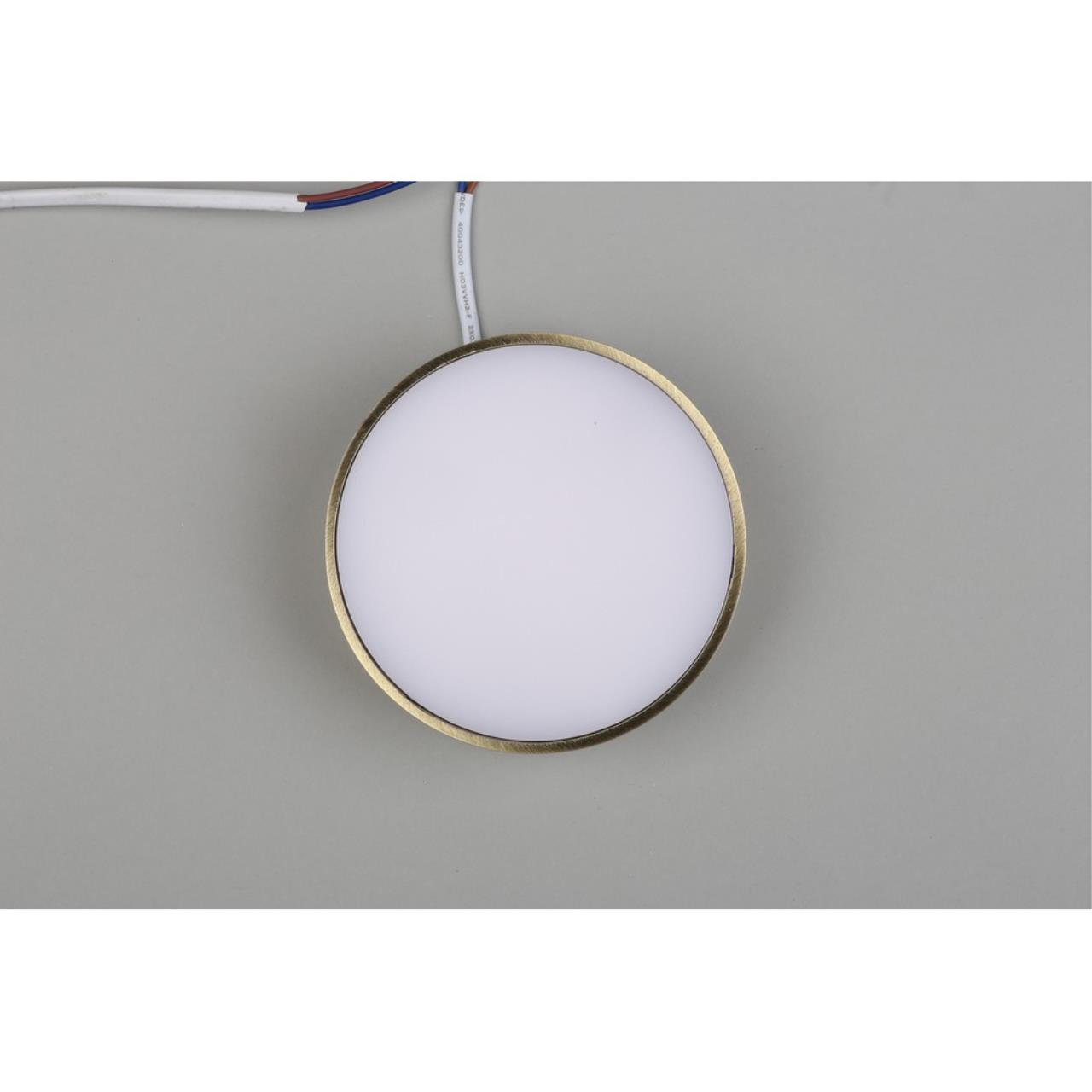 Картинка Потолочный светодиодный светильник Aployt Evon APL.0114.29.12