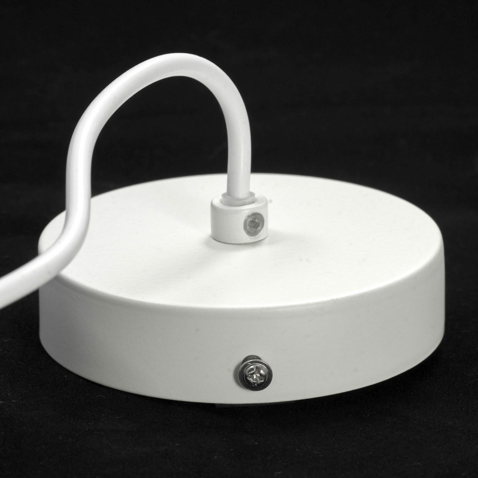 Картинка Подвесной светильник Lussole LSP-8135