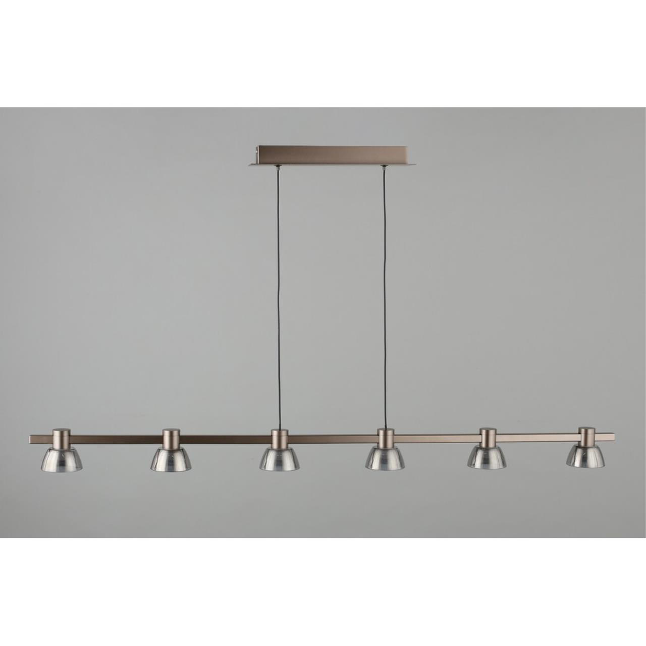 Картинка APL.788.03.06 Светильник подвесной Aployt Rezeda