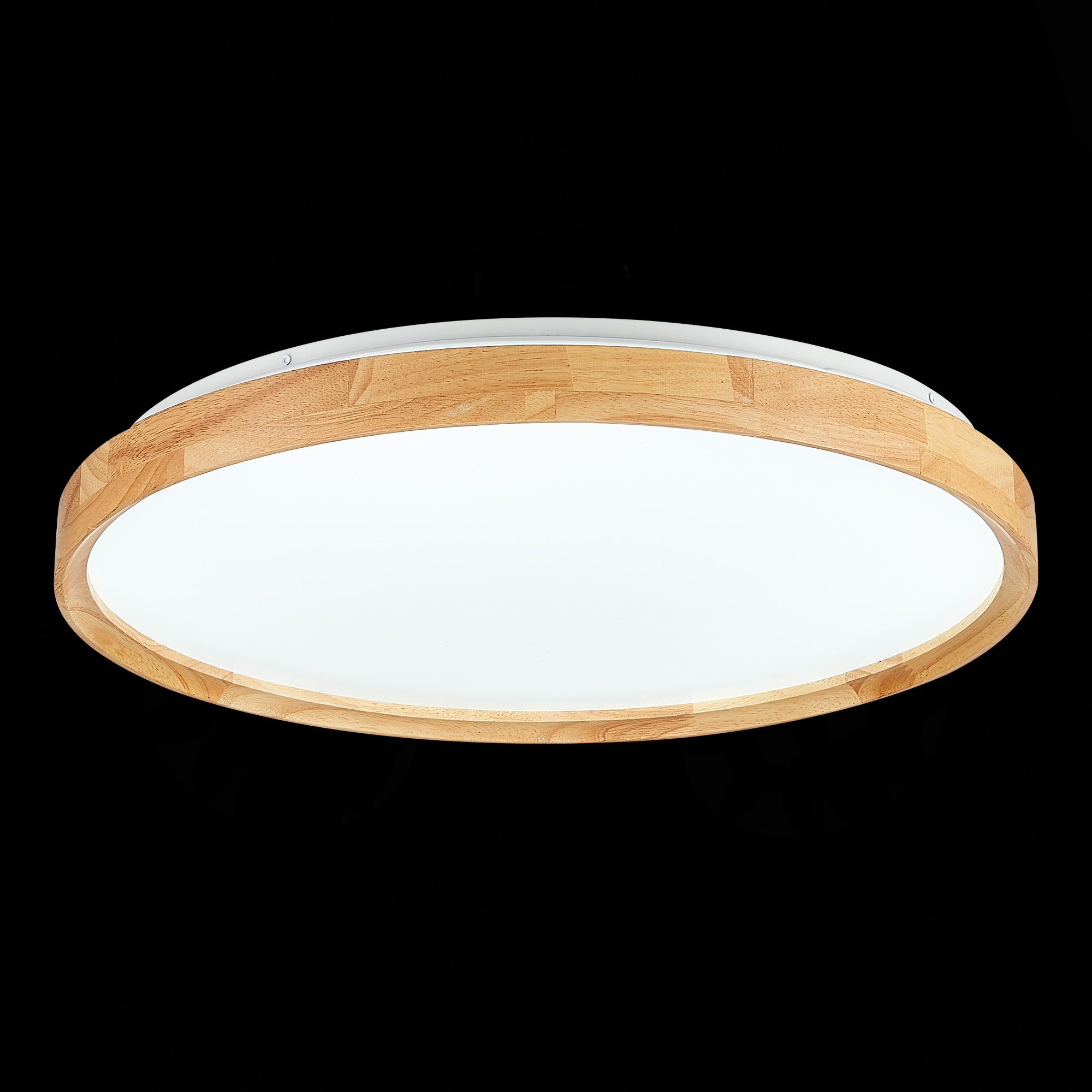 Картинка Потолочный сетодиодный светильник Evoluce Delia SLE201382-01