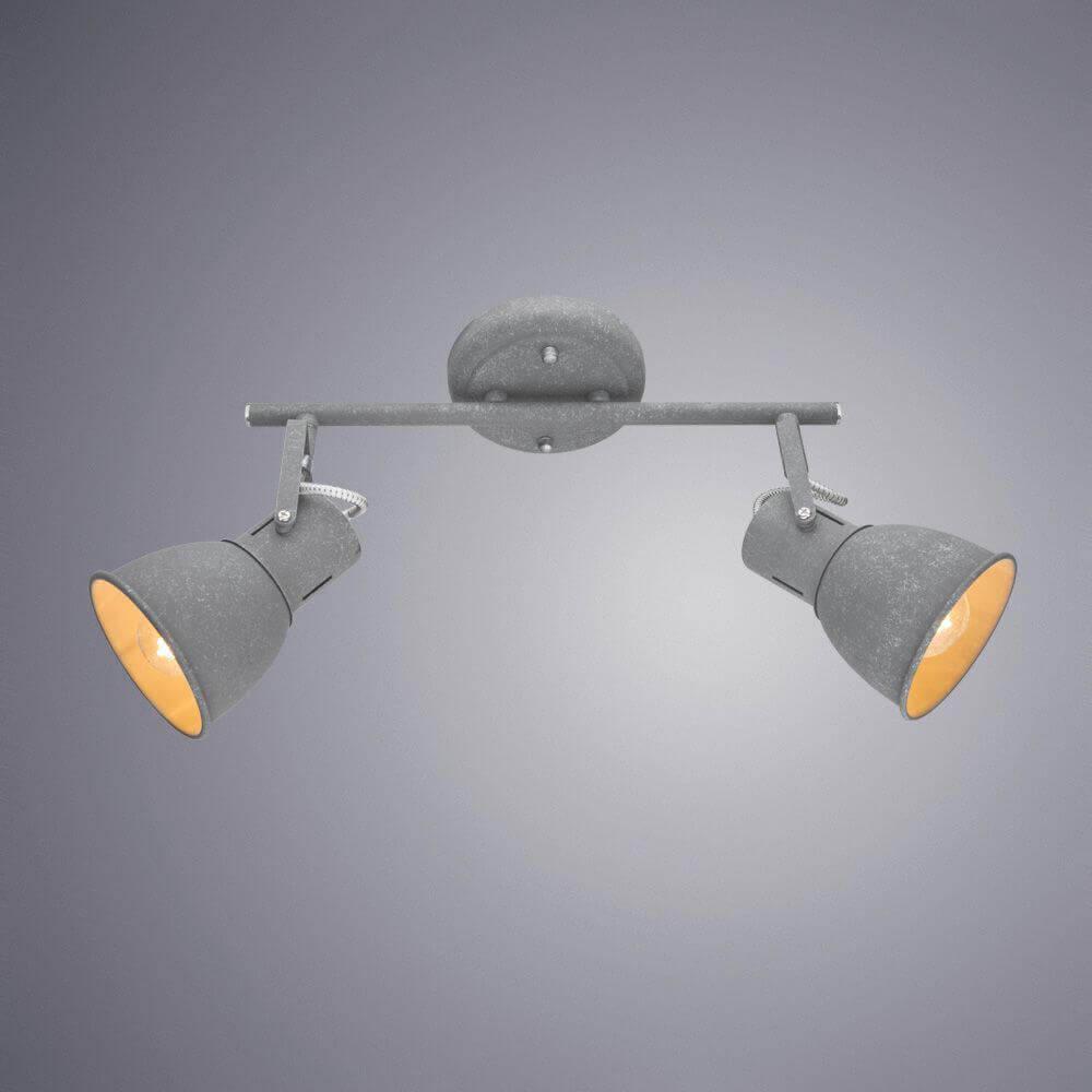 Картинка Спот Arte Lamp A1677PL-2GY