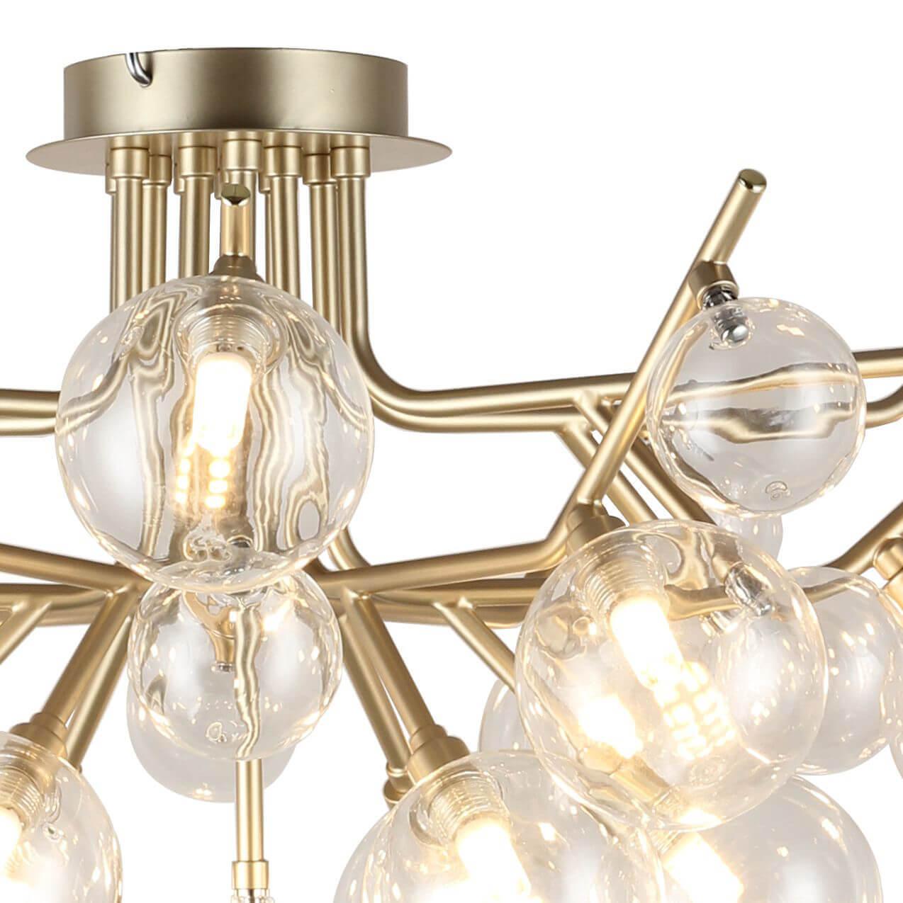 Картинка Потолочная люстра Favourite Lash 2524-18U