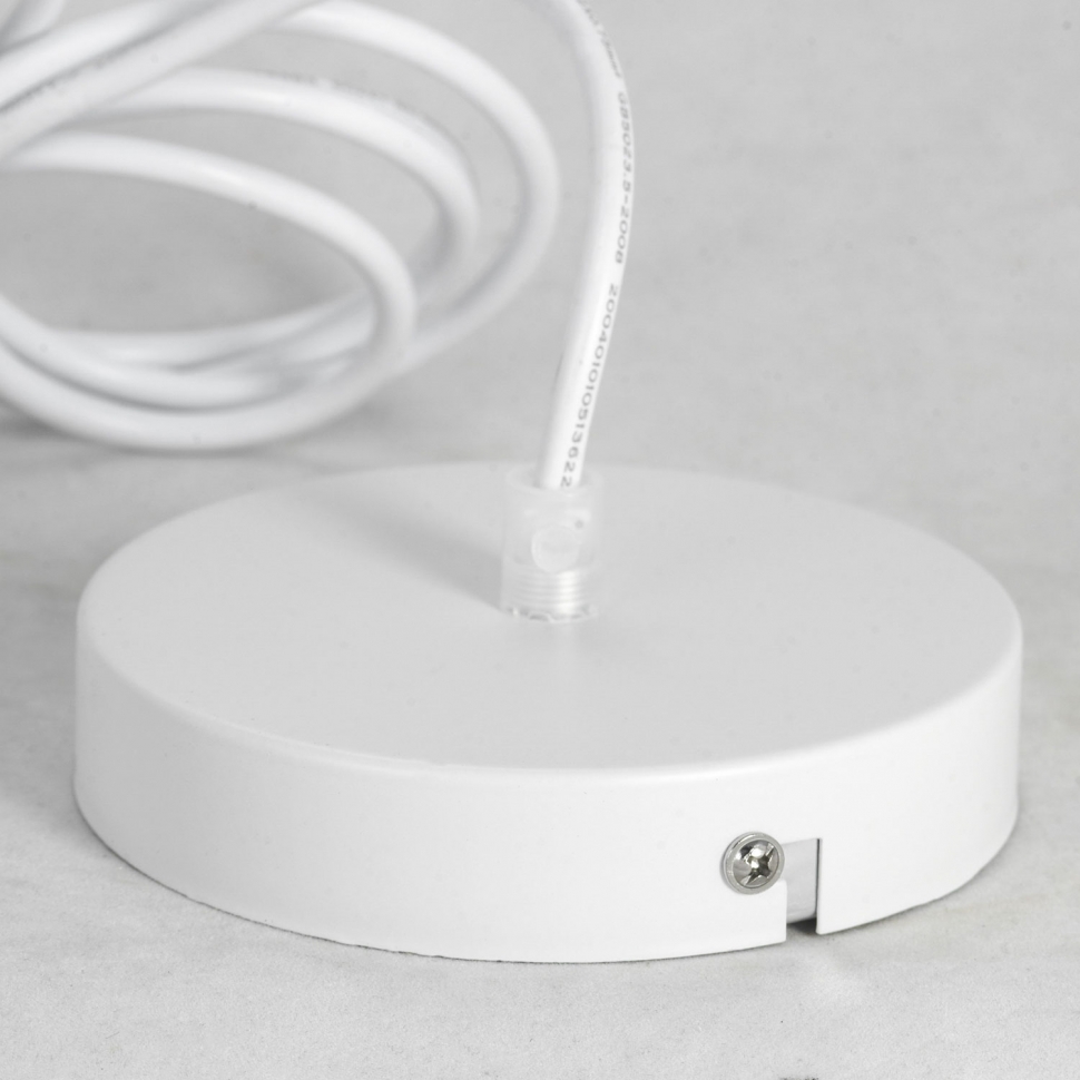 Картинка Подвесной светильник Lussole Lgo Dove GRLSP-8220