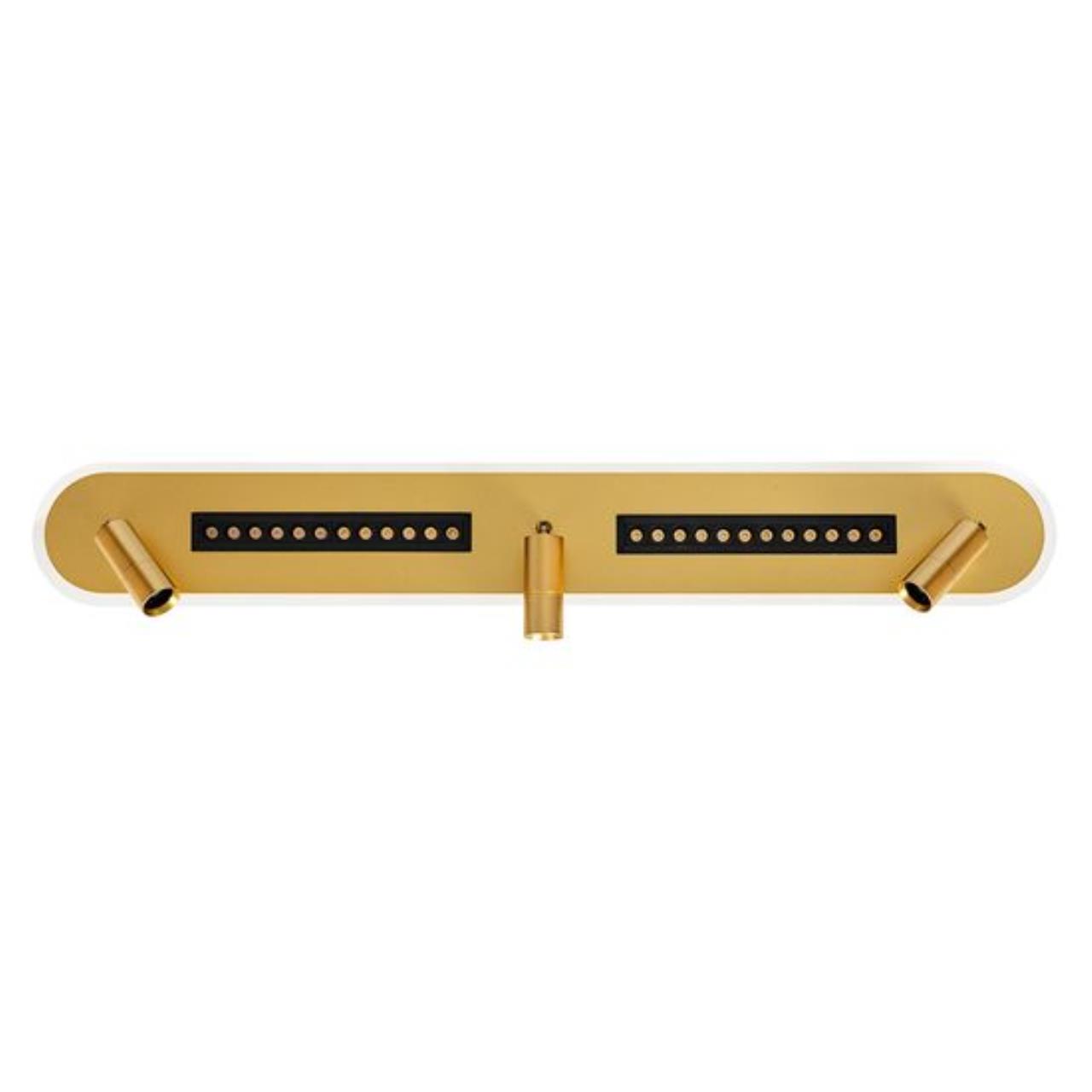 Картинка Настенно-потолочный светильник Arte Lamp PISCES A2220PL-3GO