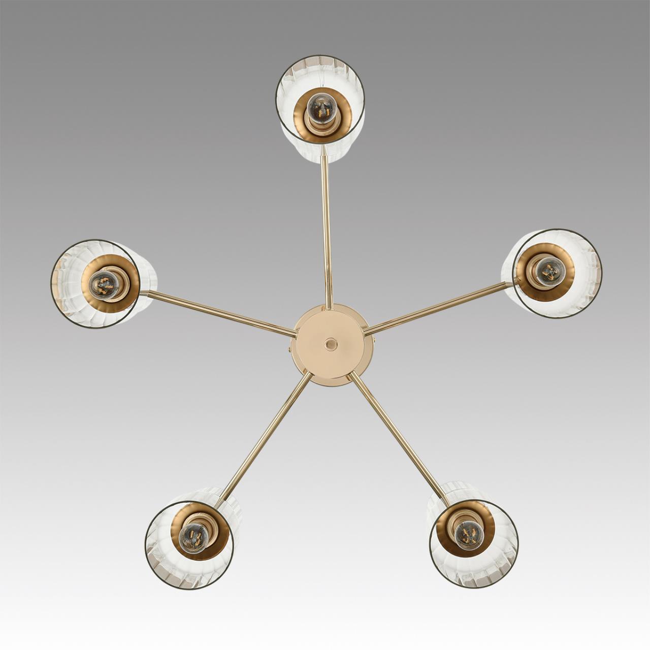 Картинка 6586/10 Lumion Люстра подвесная KASSIA