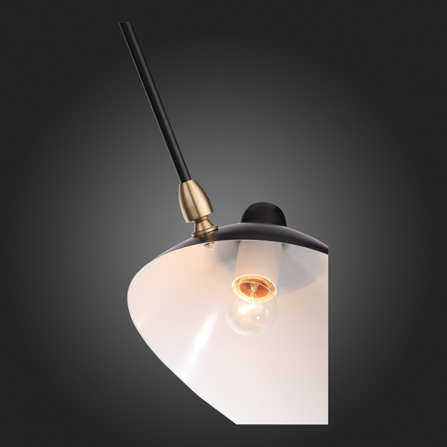 Картинка Подвесная люстра ST Luce Spruzzo SL305.402.06