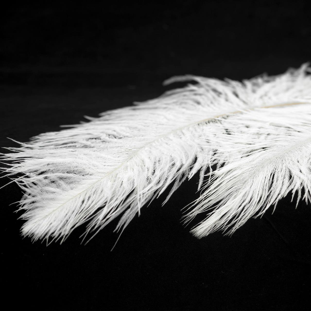 Картинка Люстра Lussole LSP-8601