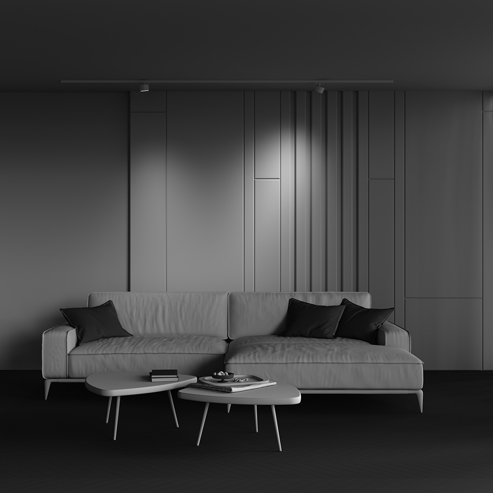 Картинка Трековый светильник Technical TR225-1-GX53-W