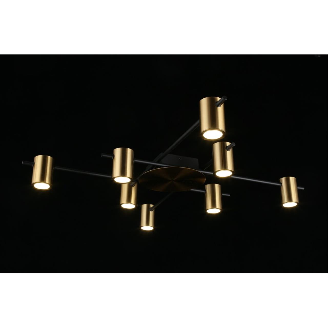 Картинка Потолочная люстра Aployt Elwisia APL.633.07.08