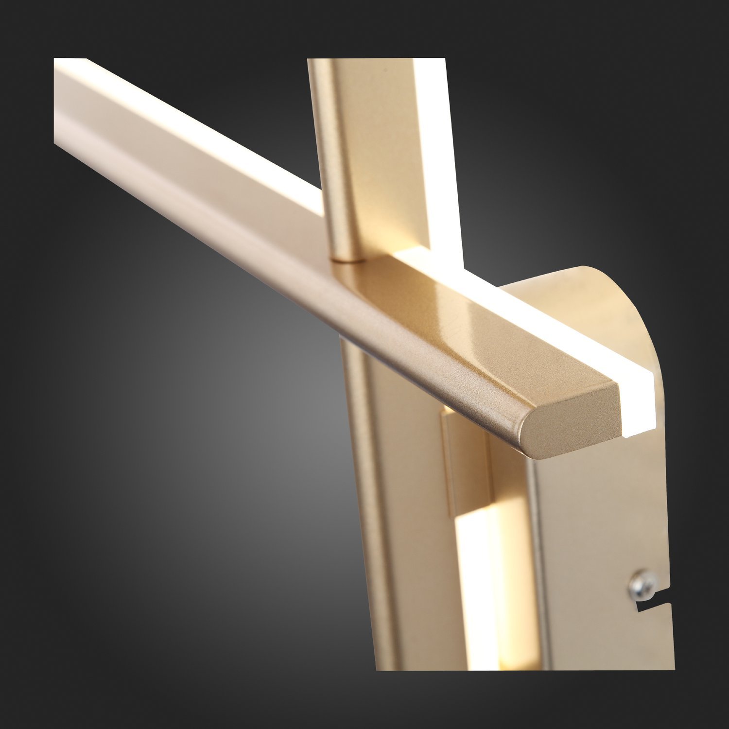 Картинка Настенный светодиодный светильник ST Luce Basoni SL394.201.02