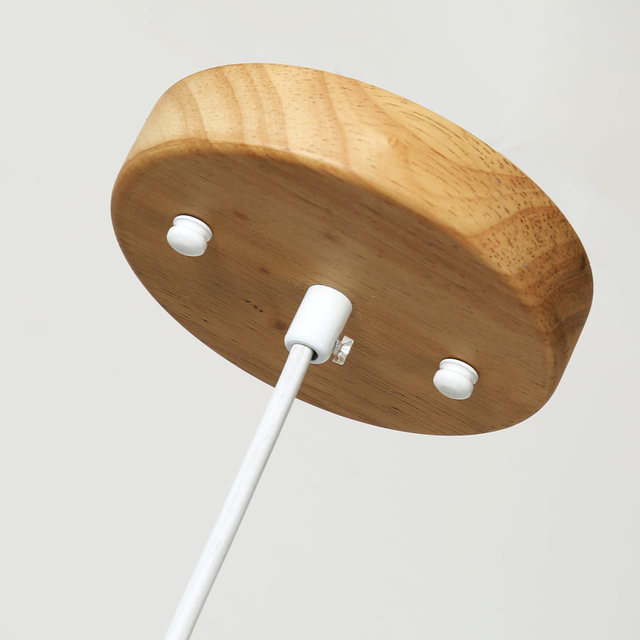 Картинка Подвесной светодиодный светильник Favourite Pendenti 2014-1P