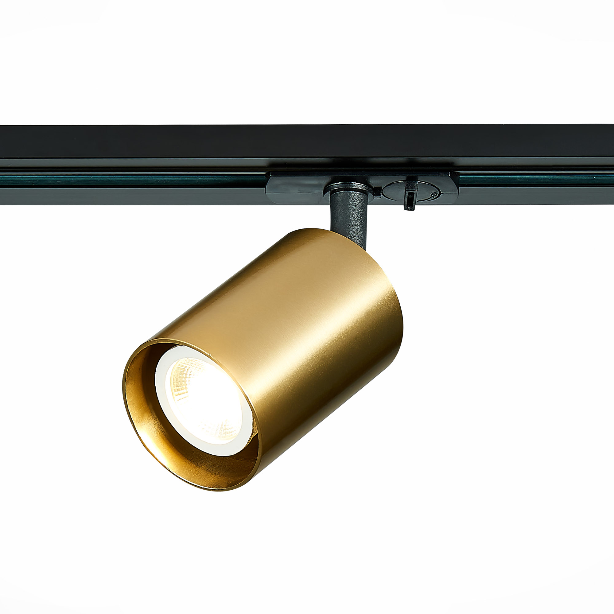 Картинка Трековый светильник ST Luce ST302.206.01