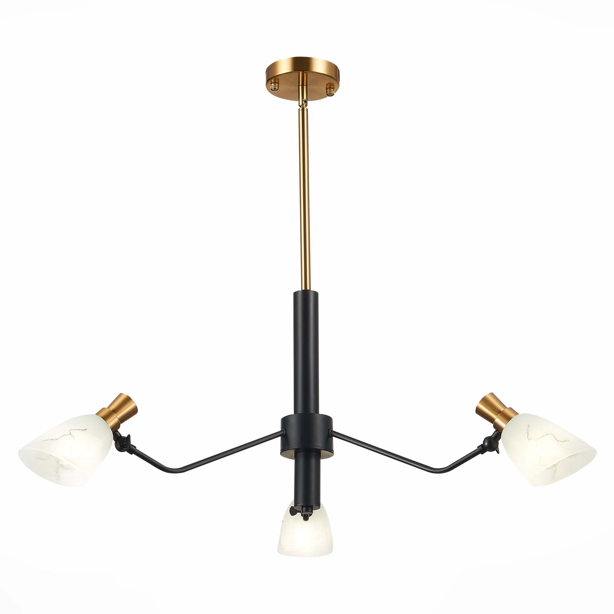 Картинка Подвесная люстра Evoluce Lita SLE205403-03