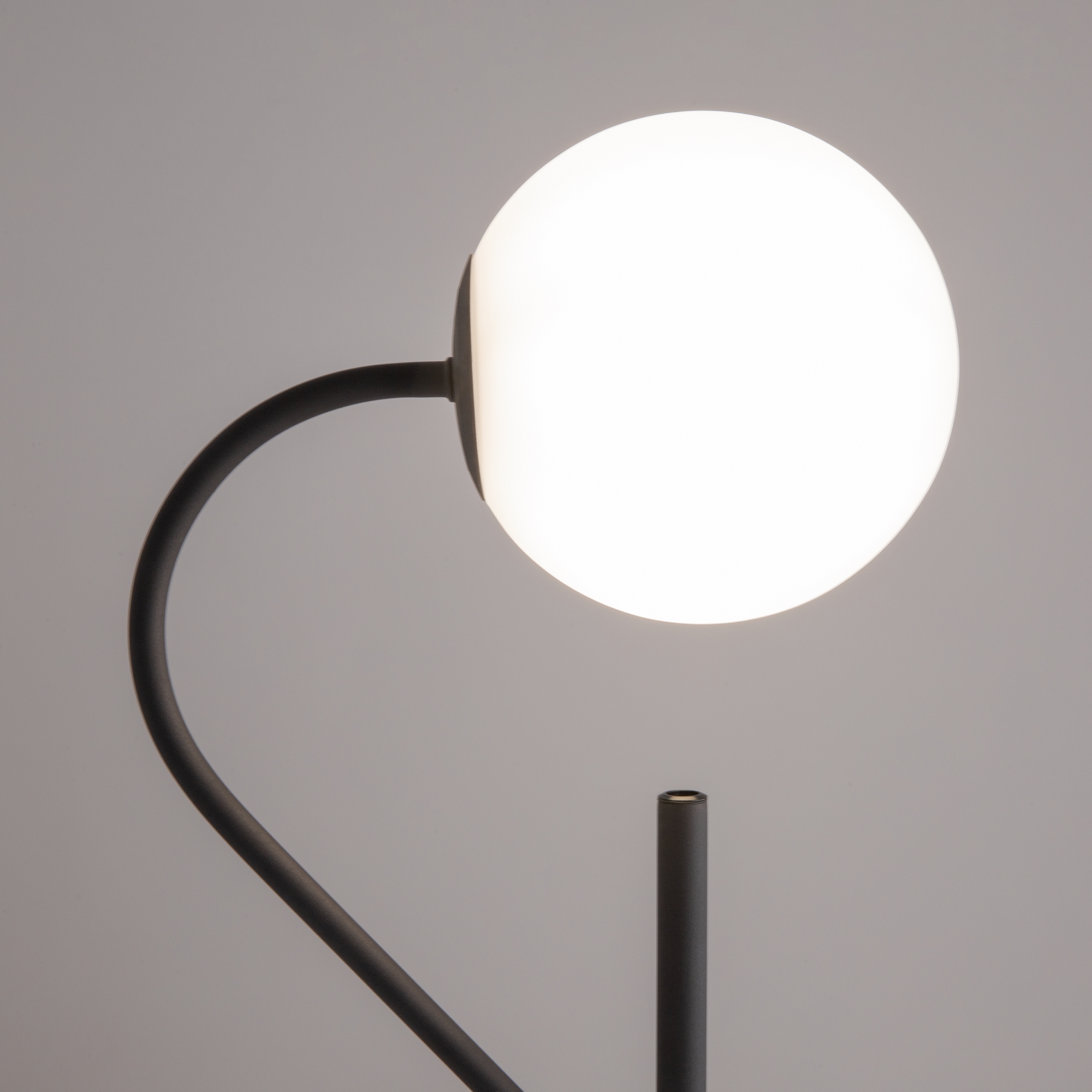 Картинка Напольный светильник (торшер) Maytoni MOD230FL-01B