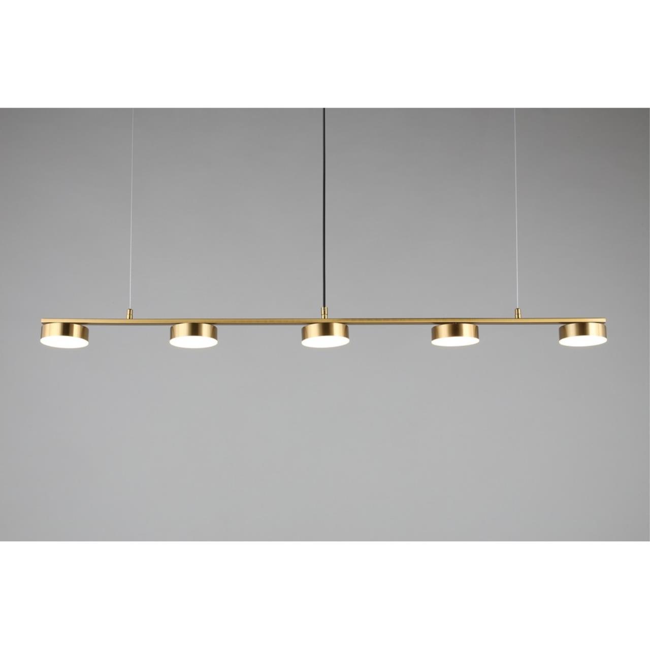 Картинка Подвесная светодиодная люстра Aployt Usia APL.047.13.35