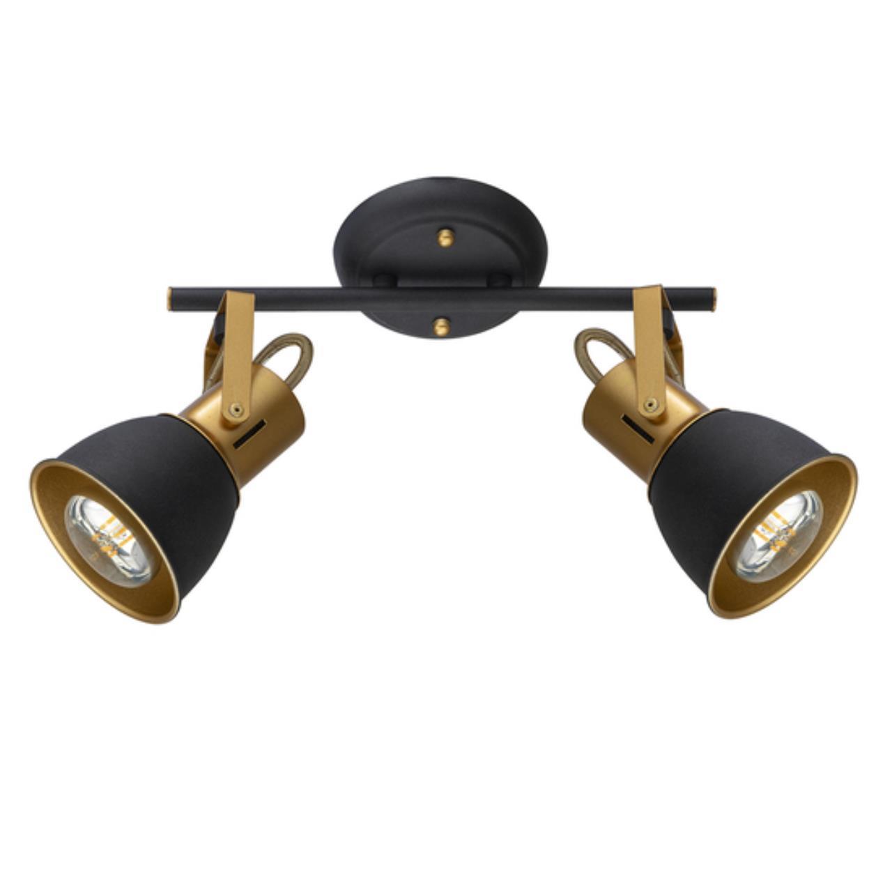 Картинка Потолочный светильник Arte Lamp JOVI A1677PL-2GO